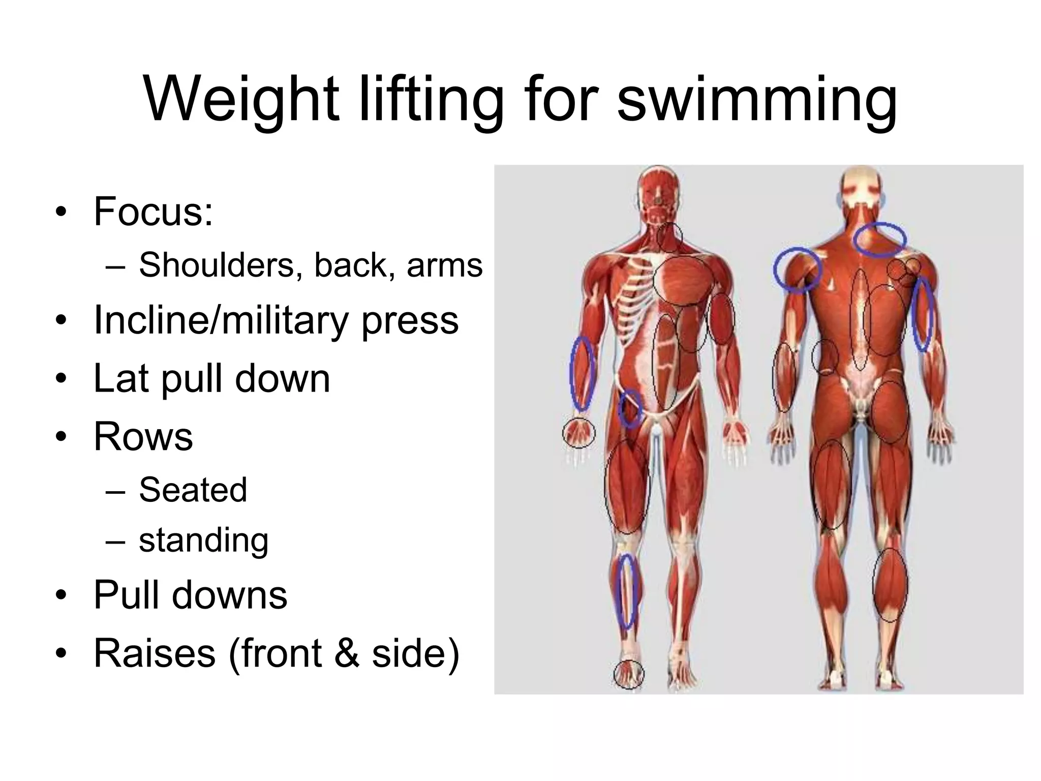 Weight lifting for swimming
• Focus:
– Shoulders, back, arms
• Incline/military press
• Lat pull down
• Rows
– Seated
– standing
• Pull downs
• Raises (front & side)
 