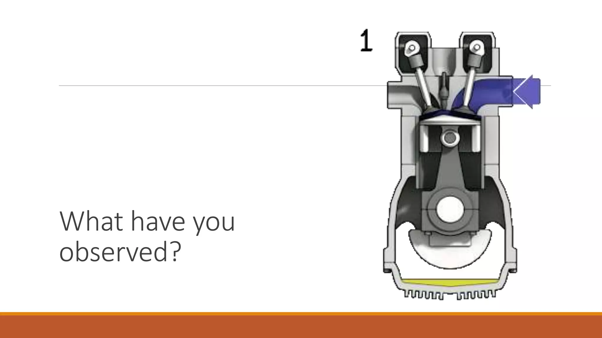 What have you
observed?
 