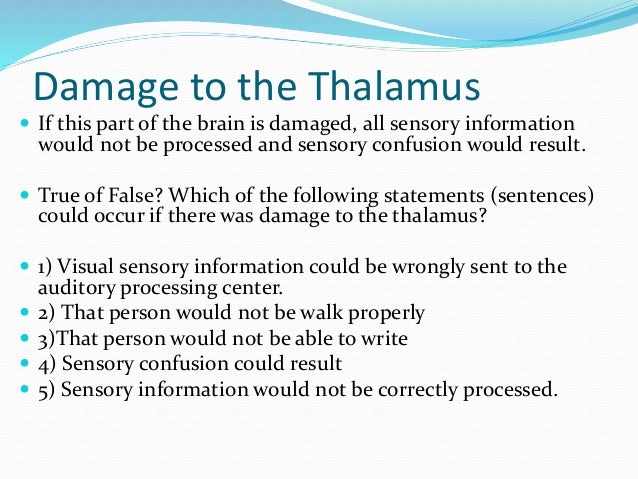 Medulla, Reticular Formation, Thalamus, and Hippocampus