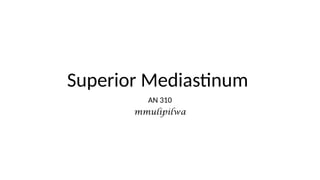 Comprehensive Anatomy and Contents of the Superior Mediastinum | PPTX