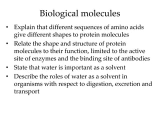 Biological molecules
• Explain that different sequences of amino acids
give different shapes to protein molecules
• Relate the shape and structure of protein
molecules to their function, limited to the active
site of enzymes and the binding site of antibodies
• State that water is important as a solvent
• Describe the roles of water as a solvent in
organisms with respect to digestion, excretion and
transport
 