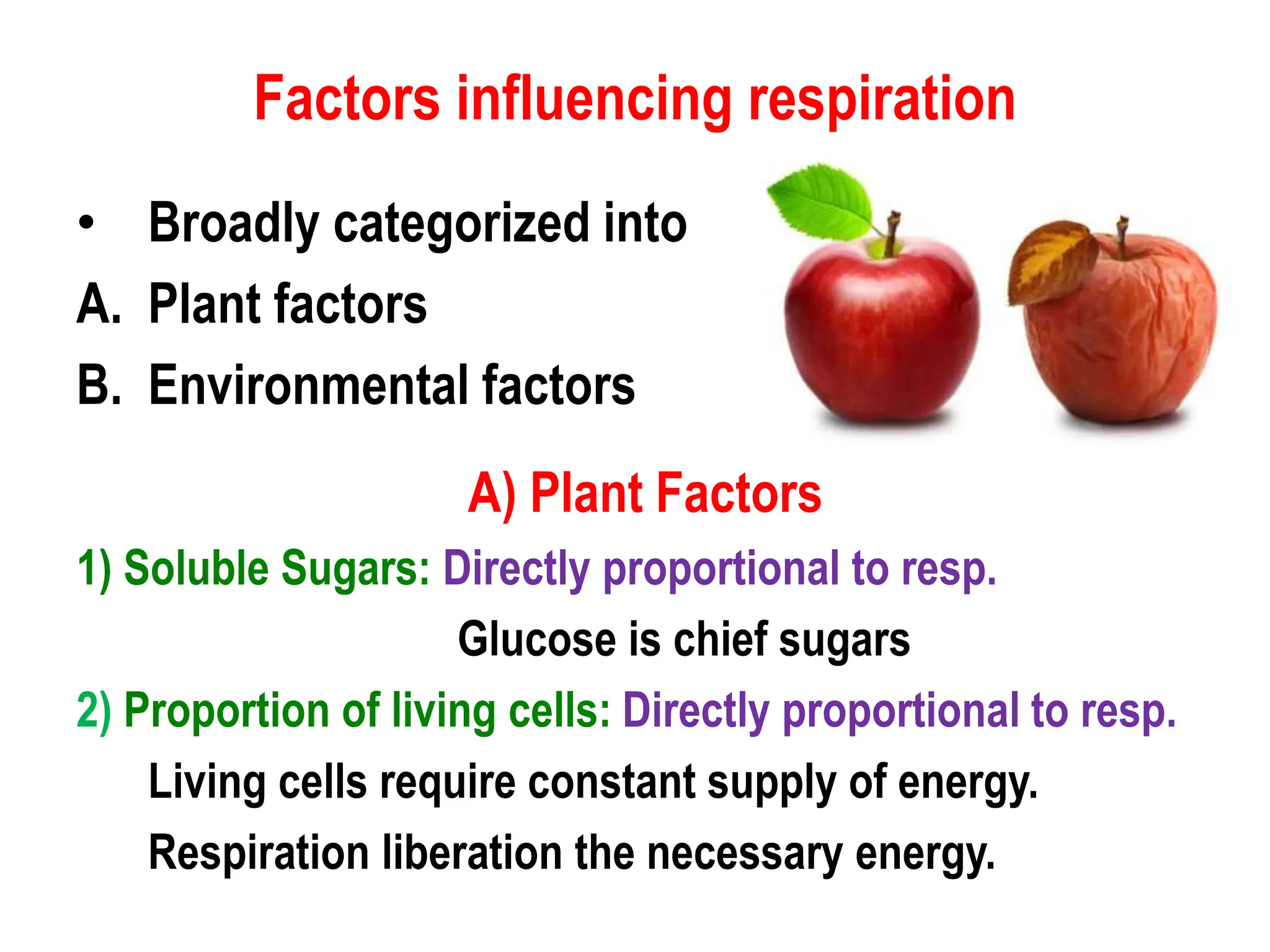 # 4T - Factors Responsible for Deterioration.ppt