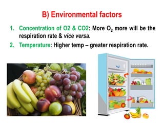 # 4T - Factors Responsible for Deterioration.ppt
