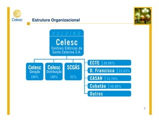 7
Estrutura Organizacional
 