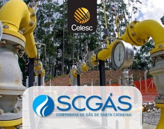 Apresentação dos Resultados do 4T10