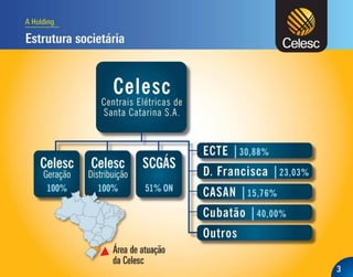 Apresentação dos Resultados do 4T10