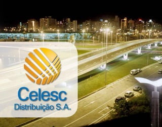 Apresentação dos Resultados do 4T10