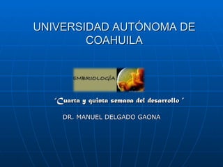 UNIVERSIDAD AUTÓNOMA DE
        COAHUILA




  “Cuarta y quinta semana del desarrollo ”

    DR. MANUEL DELGADO GAONA
 