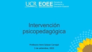 Intervención
psicopedagógica
Profesora Irene Salazar Carvajal
5 de setiembre, 2023
 
