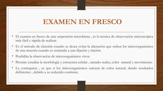 EXAMEN EN FRESCO
• El examen en fresco de una suspensión microbiana , es la técnica de observación microscópica
más fácil y rápida de realizar.
• Es el método de elección cuando se desea evitar la alteración que sufren los microorganismos
de una muestra cuando es sometida a una fijación y tinción.
• Posibilita la observación de microorganismos vivos.
• Permite estudiar la morfología y estructura celular , tamaño reales, color natural y movimiento.
• La contraparte , es que si los microorganismos carecen de color natural, dando resultados
deficientes , debido a su reducido contraste.
 