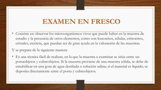 • Consiste en observar los microorganismos vivos que puede haber en la muestra de
estudio y la presencia de otros elementos, como son leucocitos, células, eritrocitos,
cristales, etcétera, que puedan ser de gran ayuda en la valoración de las muestras.
Y se prepara de la siguiente manera:
• Es una técnica fácil de realizar, en la que la muestra a examinar se sitúa entre un
portaobjetos y cubreobjetos. Si la muestra proviene de una muestra sólida, se debe de
emulsificar en una gota de agua destilada o solución salina; si el material es líquido, se
deposita directamente entre el porta y cubreobjetos.
EXAMEN EN FRESCO
 