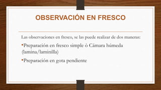 OBSERVACIÓN EN FRESCO
Las observaciones en fresco, se las puede realizar de dos maneras:
•Preparación en fresco simple ò Cámara húmeda
(lamina/laminilla)
•Preparación en gota pendiente
 
