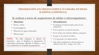 PREPARACIÓN EN FRESCO SIMPLE Ò CÀMARA HÙMEDA
(LAMINA/LAMINILLA)
• Materiales:
• Porta y cubre
• Gotero(pipeta)
• Muestras de agua estancadas.
• Microscopio
• Procedimiento:
• Se prepara el microscopio para el uso
respectivo.
• Con el gotero se saca la muestra.
• Se le coloca en el porta objetos, una gota.
• Luego se le coloca el cubre.
• Y se procede a la observación.
• Solo debe realizarse la observación en
objetivos de 40 x , luego a 4x, 10x,
Se realizan a través de suspensiones de células o microorganismos
NOTA: No debe emplearse el objetivo de
inmersión , pues al desplazar la preparación el
cubreobjeto permanece adherido al objetivo y esto
crea turbulencias en el liquido de preparación
 