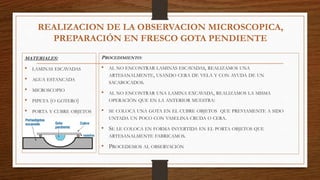 REALIZACION DE LA OBSERVACION MICROSCOPICA,
PREPARACIÓN EN FRESCO GOTA PENDIENTE
MATERIALES:
• LAMINAS ESCAVADAS
• AGUA ESTANCADA
• MICROSCOPIO
• PIPETA (O GOTERO)
• PORTA Y CUBRE OBJETOS
PROCEDIMIENTO:
• AL NO ENCONTRAR LAMINAS ESCAVADAS, REALIZAMOS UNA
ARTESANALMENTE, USANDO CERA DE VELA Y CON AYUDA DE UN
SACABOCADOS.
• AL NO ENCONTRAR UNA LAMINA EXCAVADA, REALIZAMOS LA MISMA
OPERACIÓN QUE EN LA ANTERIOR MUESTRA:
• SE COLOCA UNA GOTA EN EL CUBRE OBJETOS QUE PREVIAMENTE A SIDO
UNTADA UN POCO CON VASELINA CRUDA O CERA.
• SE LE COLOCA EN FORMA INVERTIDA EN EL PORTA OBJETOS QUE
ARTESANALMENTE FABRICAMOS.
• PROCEDEMOS AL OBSERVACIÓN
 
