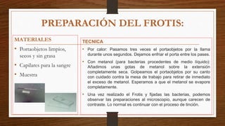MATERIALES
• Portaobjetos limpios,
secos y sin grasa
• Capilares para la sangre
• Muestra
TECNICA
• Por calor: Pasamos tres veces el portaobjetos por la llama
durante unos segundos. Dejamos enfriar el porta entre los pases.
• Con metanol (para bacterias procedentes de medio líquido):
Añadimos unas gotas de metanol sobre la extensión
completamente seca. Golpeamos el portaobjetos por su canto
con cuidado contra la mesa de trabajo para retirar de inmediato
el exceso de metanol. Esperamos a que el metanol se evapore
completamente.
• Una vez realizado el Frotis y fijadas las bacterias, podemos
observar las preparaciones al microscopio, aunque carecen de
contraste. Lo normal es continuar con el proceso de tinción.
PREPARACIÓN DEL FROTIS:
 