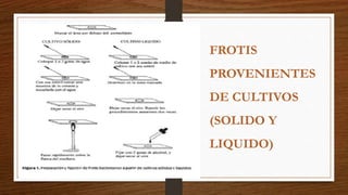 FROTIS
PROVENIENTES
DE CULTIVOS
(SOLIDO Y
LIQUIDO)
 