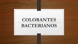 COLORANTES
BACTERIANOS
 