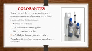 COLORANTES
Hacen más visibles las estructuras internas y
externas aumentando el contraste con el fondo
2 características fundamentales :
1. Grupos cromóforos:
• Con dobles enlaces conjugados
• Dan al colorante su color.
2. Afinidad por los componentes celulares
Por enlaces iónicos (más comunes) , covalentes o
hidrófobos
 