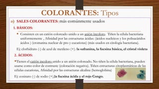 a) SALES COLORANTES: más comúnmente usados
1. BÁSICOS:
 Consisten en un catión coloreado unido a un anión incoloro. Tiñen la célula bacteriana
uniformemente , Afinidad por las estructuras ácidas: (ácidos nucleicos y los polisacáridos
ácidos ) (cromatina nuclear de pro y eucariotas) (más usados en citología bacteriana).
Ej: clorhidrato (-) de azul de metileno (+). la safranina, la fucsina básica, el cristal violeta
2. ÁCIDOS:
Tienen el catión incoloro unido a un anión coloreado. No tiñen la célula bacteriana, pueden
usarse como color de contraste (coloración negativa). Tiñen estructuras citoplasmáticas de las
células eucariotas, Afinidad por las estructuras alcalina (hemoglobina)
Ej: eosinato (-) de sodio (+),la fucsina ácida y el rojo Congo.
COLORANTES: Tipos
 
