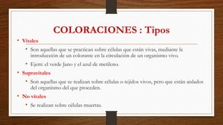 • Vitales
• Son aquellas que se practican sobre células que están vivas, mediante la
introducción de un colorante en la circulación de un organismo vivo.
• Ejem: el verde Jano y el azul de metileno.
• Supravitales
• Son aquellas que se realizan sobre células o tejidos vivos, pero que están aislados
del organismo del que proceden.
• No vitales
• Se realizan sobre células muertas.
COLORACIONES : Tipos
 