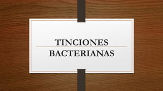 TINCIONES
BACTERIANAS
 