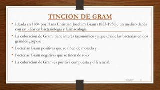 30/06/2017 44
TINCION DE GRAM
.
• Ideada en 1884 por Hans Christian Joachim Gram (1853-1938), un médico danés
con estudios en bacteriología y farmacología
• La coloración de Gram. tiene interés taxonómico ya que divide las bacterias en dos
grandes grupos:
• Bacterias Gram positivas que se tiñen de morado y
• Bacterias Gram negativas que se tiñen de rojo
• La coloración de Gram es positiva compuesta y diferencial.
 