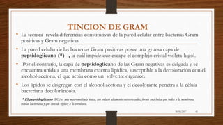 30/06/2017 45
TINCION DE GRAM
• La técnica revela diferencias constitutivas de la pared celular entre bacterias Gram
positivas y Gram negativas.
• La pared celular de las bacterias Gram positivas posee una gruesa capa de
peptidoglicano (*) , la cuál impide que escape el complejo cristal violeta-lugol.
• Por el contrario, la capa de peptidoglicano de las Gram negativas es delgada y se
encuentra unida a una membrana externa lipídica, susceptible a la decoloración con el
alcohol-acetona, el que actúa como un solvente orgánico.
• Los lípidos se disgregan con el alcohol acetona y el decolorante penetra a la célula
bacteriana decolorándola.
* El peptidoglicano (PG) es una macromolécula única, con enlaces altamente entrecruzados, forma una bolsa que rodea a la membrana
celular bacteriana y que concede rigidez a la envoltura.
 