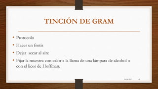30/06/2017 49
TINCIÓN DE GRAM
• Protocolo
• Hacer un frotis
• Dejar secar al aire
• Fijar la muestra con calor a la llama de una lámpara de alcohol o
con el licor de Hoffman.
 
