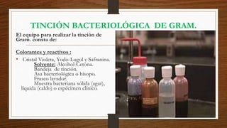 30/06/2017 52
TINCIÓN BACTERIOLÓGICA DE GRAM.
El equipo para realizar la tinción de
Gram. consta de:
Colorantes y reactivos :
• Cristal Violeta, Yodo-Lugol y Safranina.
Solvente: Alcohol-Cetona.
Bandeja de tinción.
Asa bacteriológica o hisopo.
Frasco lavador.
Muestra bacteriana sólida (agar),
líquida (caldo) o espécimen clínico.
 