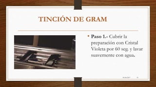 30/06/2017 53
TINCIÓN DE GRAM
• Paso 1.- Cubrir la
preparación con Cristal
Violeta por 60 seg. y lavar
suavemente con agua.
 
