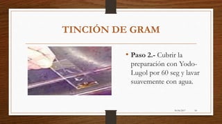 30/06/2017 54
TINCIÓN DE GRAM
• Paso 2.- Cubrir la
preparación con Yodo-
Lugol por 60 seg y lavar
suavemente con agua.
 