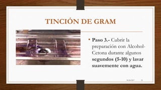 30/06/2017 55
TINCIÓN DE GRAM
• Paso 3.- Cubrir la
preparación con Alcohol-
Cetona durante algunos
segundos (5-10) y lavar
suavemente con agua.
 