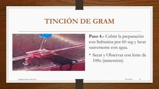 30/06/2017Altagracia Jimenez Diaz MA 56
TINCIÓN DE GRAM
Paso 4.- Cubrir la preparación
con Safranina por 60 seg y lavar
suavemente con agua.
• Secar y Observar con lente de
100x (inmersión).
 