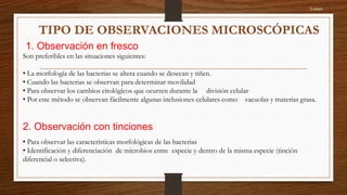 1. Observación en fresco
Son preferibles en las situaciones siguientes:
• La morfología de las bacterias se altera cuando se desecan y tiñen.
• Cuando las bacterias se observan para determinar movilidad
• Para observar los cambios citológicos que ocurren durante la división celular
• Por este método se observan fácilmente algunas inclusiones celulares como vacuolas y materias grasa.
2. Observación con tinciones
• Para observar las características morfológicas de las bacterias
• Identificación y diferenciación de microbios entre especie y dentro de la misma especie (tinción
diferencial o selectiva).
Lunes
TIPO DE OBSERVACIONES MICROSCÓPICAS
 