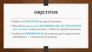 OBJETIVOS
• Definir el CONCEPTO de capsula bacteriana.
• Describir los pasos para DESARROLLAR LAS TINCIONES
mas comunes usadas para hacer visibles las capsulas bacterianas.
• Explicar la IMPORTANCIA de la capsula para la supervivencia,
identificación y virulencia de las bacterias.
 
