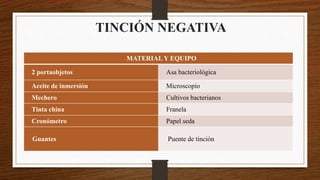 TINCIÓN NEGATIVA
MATERIAL Y EQUIPO
2 portaobjetos Asa bacteriológica
Aceite de inmersión Microscopio
Mechero Cultivos bacterianos
Tinta china Franela
Cronómetro Papel seda
Guantes Puente de tinción
 