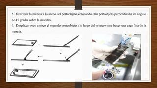 5. Distribuir la mezcla a lo ancho del portaobjeto, colocando otro portaobjeto perpendicular en ángulo
de 45 grados sobre la muestra.
6. Desplazar poco a poco el segundo portaobjeto a lo largo del primero para hacer una capa fina de la
mezcla.
 