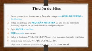 Tinción de Hiss
1. En un portaobjetos limpio, seco y flameado, coloque una GOTA DE SUERO o
de albumina.
2. Sobre ella coloque una PEQUEÑA MUESTRA de una colonia bacteriana,
disuelva y disperse sin producir chirridos en el portaobjetos.
3. Deje SECAR al aire libre.
4. FIJE con calor suavemente.
5. Cubra el frotis con VIOLETA CRISTAL AL 1% y mantenga flameado por 2 min.
6. Lave la placa con SULFATO DE COBRE AL 20%.
7. Deje secar al aire libre y observe con ACEITE DE INMERSIÓN.
 