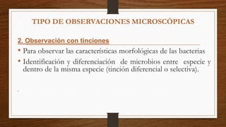 2. Observación con tinciones
• Para observar las características morfológicas de las bacterias
• Identificación y diferenciación de microbios entre especie y
dentro de la misma especie (tinción diferencial o selectiva).
•
TIPO DE OBSERVACIONES MICROSCÓPICAS
 