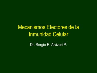 Mecanismos Efectores de la Inmunidad Celular Dr. Sergio E. Alvizuri P. 