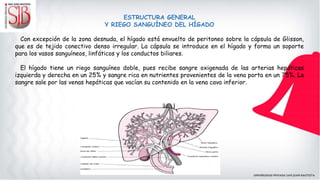ESTRUCTURA GENERAL
Y RIEGO SANGUÍNEO DEL HÍGADO
Con excepción de la zona desnuda, el hígado está envuelto de peritoneo sobre la cápsula de Glisson,
que es de tejido conectivo denso irregular. La cápsula se introduce en el hígado y forma un soporte
para los vasos sanguíneos, linfáticos y los conductos biliares.
El hígado tiene un riego sanguíneo doble, pues recibe sangre oxigenada de las arterias hepáticas
izquierda y derecha en un 25% y sangre rica en nutrientes provenientes de la vena porta en un 75%. La
sangre sale por las venas hepáticas que vacían su contenido en la vena cava inferior.
 