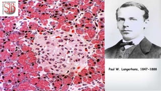 Paul W. Langerhans, 1847-1888
 