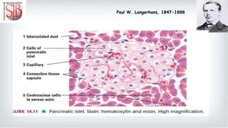 Paul W. Langerhans, 1847-1888
 