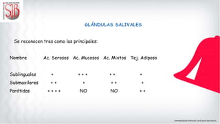 GLÁNDULAS SALIVALES
Se reconocen tres como las principales:
Nombre Ac. Serosos Ac. Mucosos Ac. Mixtos Tej. Adiposo
Sublinguales + + + + + + +
Submaxilares + + + + + +
Parótidas + + + + NO NO + +
 