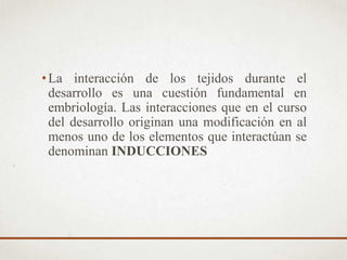 •La interacción de los tejidos durante el
desarrollo es una cuestión fundamental en
embriología. Las interacciones que en el curso
del desarrollo originan una modificación en al
menos uno de los elementos que interactúan se
denominan INDUCCIONES
 