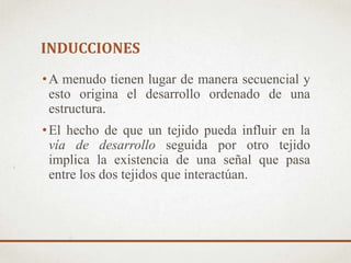 INDUCCIONES
•A menudo tienen lugar de manera secuencial y
esto origina el desarrollo ordenado de una
estructura.
•El hecho de que un tejido pueda influir en la
vía de desarrollo seguida por otro tejido
implica la existencia de una señal que pasa
entre los dos tejidos que interactúan.
 