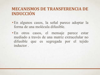 MECANISMOS DE TRANSFERENCIA DE
INDUCCIÓN
•En algunos casos, la señal parece adoptar la
forma de una molécula difusible.
•En otros casos, el mensaje parece estar
mediado a través de una matriz extracelular no
difusible que es segregada por el tejido
inductor .
 