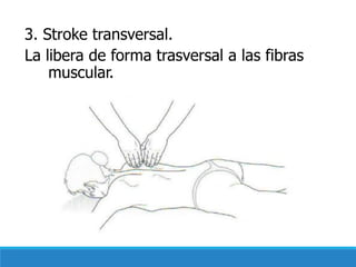 3. Stroke transversal.
La libera de forma trasversal a las fibras
muscular.
 
