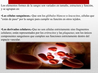 Los elementos formes de la sangre son variados en tamaño, estructura y función,
y se agrupan en:
•Las células sanguíneas.- Que son los glóbulos blancos o leucocitos, células que
"están de paso" por la sangre para cumplir su función en otros tejidos.
•Los derivados celulares.-Que no son células estrictamente sino fragmentos
celulares; están representados por los eritrocitos y las plaquetas; son los únicos
componentes sanguíneos que cumplen sus funciones estrictamente dentro del
espacio vascular.
 
