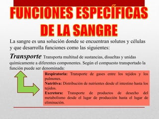 La sangre es una solución donde se encuentran solutos y células
y que desarrolla funciones como las siguientes:
Transporte Transporta multitud de sustancias, disueltas y unidas
químicamente a diferentes componentes. Según el compuesto transportado la
función puede ser denominada:
Respiratoria: Transporte de gases entre los tejidos y los
pulmones.
Nutritiva: Distribución de nutrientes desde el intestino hasta los
tejidos.
Excretora: Transporte de productos de desecho del
metabolismo desde el lugar de producción hasta el lugar de
eliminación.
 